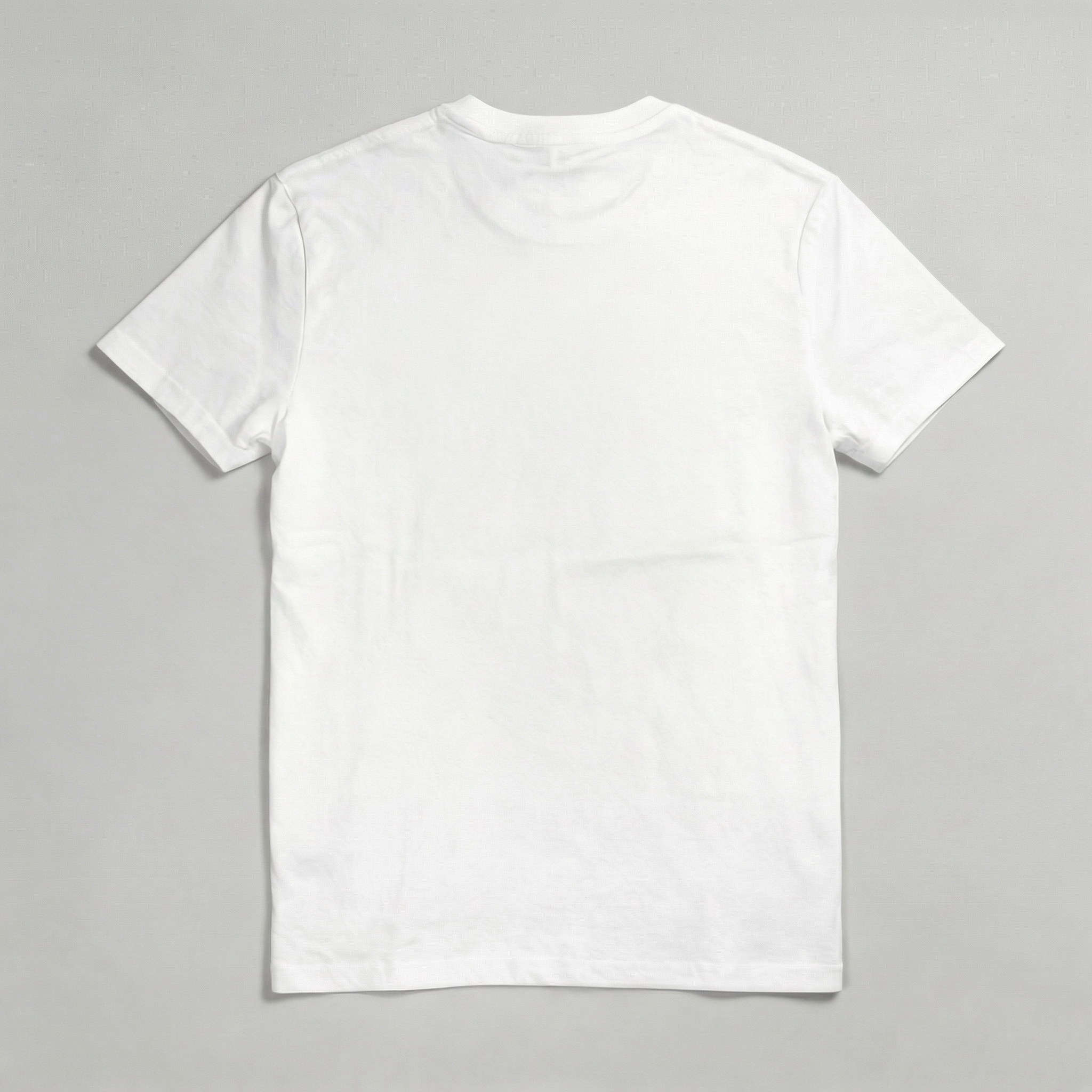 T-Shirt Anti Haters